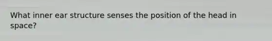 What inner ear structure senses the position of the head in space?