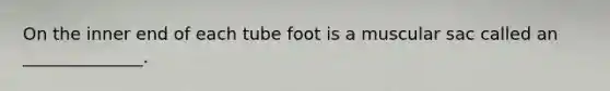 On the inner end of each tube foot is a muscular sac called an ______________.