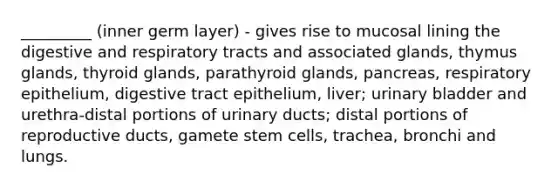 _________ (inner germ layer) - gives rise to mucosal lining the digestive and respiratory tracts and associated glands, thymus glands, thyroid glands, parathyroid glands, pancreas, respiratory epithelium, digestive tract epithelium, liver; <a href='https://www.questionai.com/knowledge/kb9SdfFdD9-urinary-bladder' class='anchor-knowledge'>urinary bladder</a> and urethra-distal portions of urinary ducts; distal portions of reproductive ducts, gamete stem cells, trachea, bronchi and lungs.