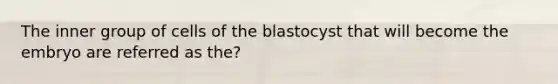 The inner group of cells of the blastocyst that will become the embryo are referred as the?