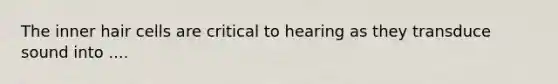 The inner hair cells are critical to hearing as they transduce sound into ....