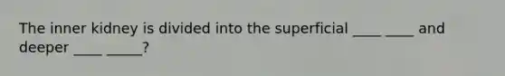The inner kidney is divided into the superficial ____ ____ and deeper ____ _____?