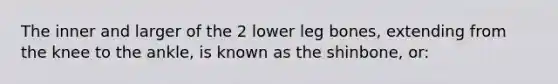 The inner and larger of the 2 lower leg bones, extending from the knee to the ankle, is known as the shinbone, or: