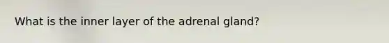 What is the inner layer of the adrenal gland?