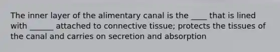 The inner layer of the alimentary canal is the ____ that is lined with ______ attached to connective tissue; protects the tissues of the canal and carries on secretion and absorption