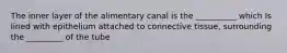 The inner layer of the alimentary canal is the __________ which Is lined with epithelium attached to connective tissue, surrounding the _________ of the tube