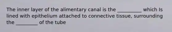 The inner layer of the alimentary canal is the __________ which Is lined with epithelium attached to <a href='https://www.questionai.com/knowledge/kYDr0DHyc8-connective-tissue' class='anchor-knowledge'>connective tissue</a>, surrounding the _________ of the tube