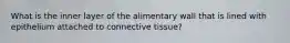 What is the inner layer of the alimentary wall that is lined with epithelium attached to connective tissue?