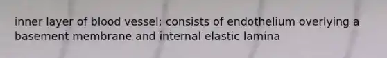 inner layer of blood vessel; consists of endothelium overlying a basement membrane and internal elastic lamina