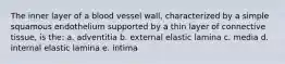 The inner layer of a blood vessel wall, characterized by a simple squamous endothelium supported by a thin layer of connective tissue, is the: a. adventitia b. external elastic lamina c. media d. internal elastic lamina e. intima