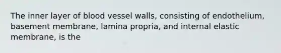 The inner layer of blood vessel walls, consisting of endothelium, basement membrane, lamina propria, and internal elastic membrane, is the