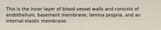 This is the inner layer of blood vessel walls and consists of endothelium, basement membrane, lamina propria, and an internal elastic membrane: