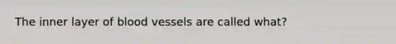 The inner layer of blood vessels are called what?