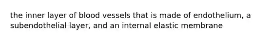 the inner layer of blood vessels that is made of endothelium, a subendothelial layer, and an internal elastic membrane