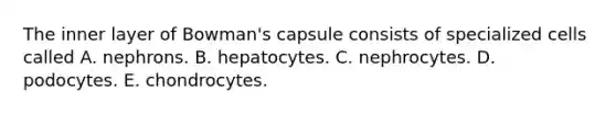 The inner layer of Bowman's capsule consists of specialized cells called A. nephrons. B. hepatocytes. C. nephrocytes. D. podocytes. E. chondrocytes.