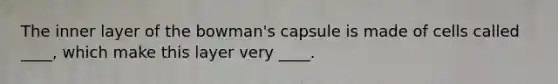 The inner layer of the bowman's capsule is made of cells called ____, which make this layer very ____.