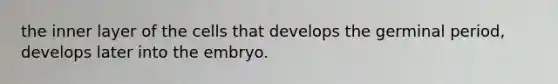 the inner layer of the cells that develops the germinal period, develops later into the embryo.