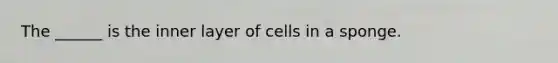 The ______ is the inner layer of cells in a sponge.