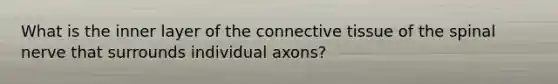 What is the inner layer of the connective tissue of the spinal nerve that surrounds individual axons?