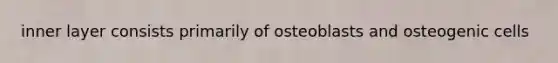 inner layer consists primarily of osteoblasts and osteogenic cells