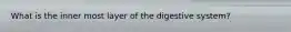 What is the inner most layer of the digestive system?