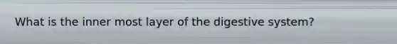 What is the inner most layer of the digestive system?