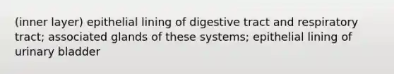 (inner layer) epithelial lining of digestive tract and respiratory tract; associated glands of these systems; epithelial lining of urinary bladder