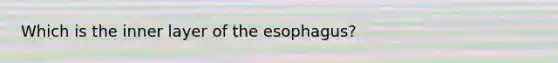 Which is the inner layer of the esophagus?