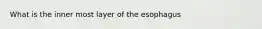 What is the inner most layer of the esophagus