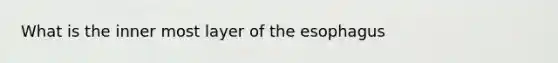 What is the inner most layer of the esophagus