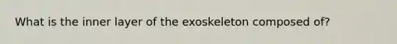 What is the inner layer of the exoskeleton composed of?