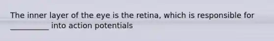 The inner layer of the eye is the retina, which is responsible for __________ into action potentials