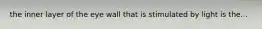 the inner layer of the eye wall that is stimulated by light is the...