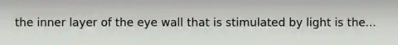 the inner layer of the eye wall that is stimulated by light is the...