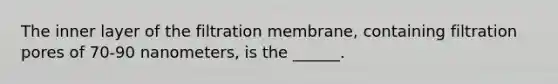 The inner layer of the filtration membrane, containing filtration pores of 70-90 nanometers, is the ______.