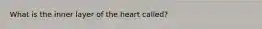 What is the inner layer of the heart called?