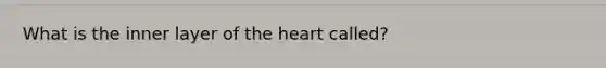 What is the inner layer of the heart called?