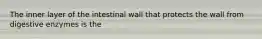 The inner layer of the intestinal wall that protects the wall from digestive enzymes is the