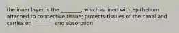 the inner layer is the ________, which is lined with epithelium attached to connective tissue; protects tissues of the canal and carries on ________ and absorption