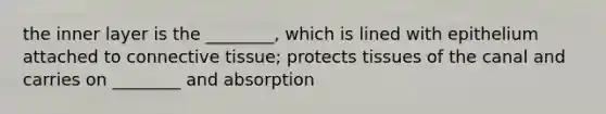 the inner layer is the ________, which is lined with epithelium attached to connective tissue; protects tissues of the canal and carries on ________ and absorption