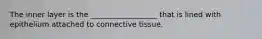 The inner layer is the __________________ that is lined with epithelium attached to connective tissue.