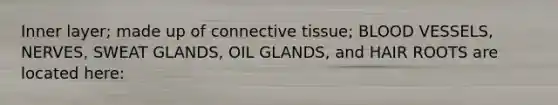 Inner layer; made up of connective tissue; BLOOD VESSELS, NERVES, SWEAT GLANDS, OIL GLANDS, and HAIR ROOTS are located here: