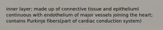 inner layer; made up of connective tissue and epitheliuml continuous with endothelium of major vessels joining the heart; contains Purkinje fibers(part of cardiac conduction system)