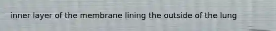 inner layer of the membrane lining the outside of the lung