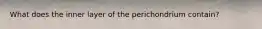 What does the inner layer of the perichondrium contain?