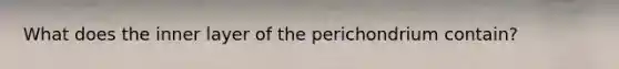 What does the inner layer of the perichondrium contain?