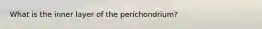 What is the inner layer of the perichondrium?