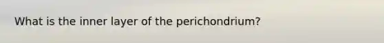 What is the inner layer of the perichondrium?