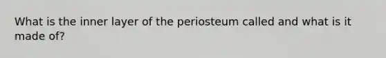 What is the inner layer of the periosteum called and what is it made of?