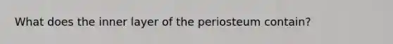 What does the inner layer of the periosteum contain?